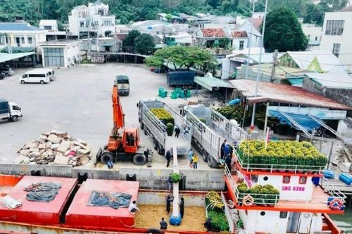 Những chuyến tàu chở 'mùa Xuân' ra đảo Lý Sơn