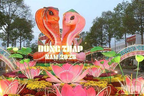 Đồng Tháp: Khai mạc đường hoa xuân 'Sen hồng bứt phá - vươn tới tương lai'