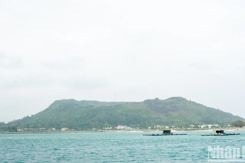 Vẻ đẹp ngày xuân 'vương quốc tỏi' Lý Sơn