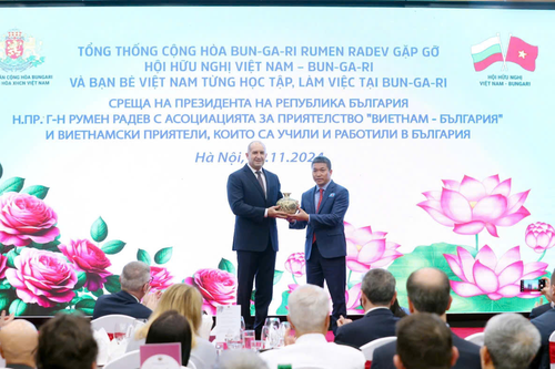 Phát huy thế mạnh của đối ngoại nhân dân trong tình hình mới
