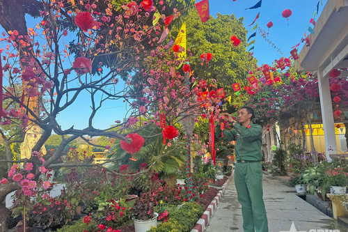 Sẵn sàng đón Tết tươi vui, đầm ấm