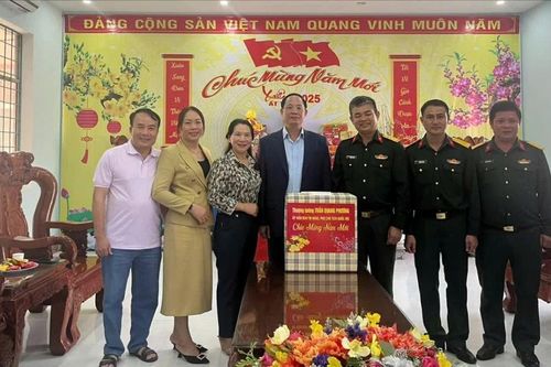 Phó Chủ tịch Quốc hội thăm, chúc tết tại Quảng Ngãi
