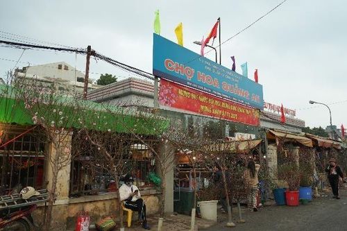 Chợ hoa lớn nhất Hà Nội nhộn nhịp ngày giáp Tết