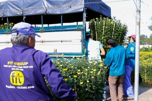 Làng hoa lớn nhất Đà Nẵng rộn ràng ngày giáp Tết