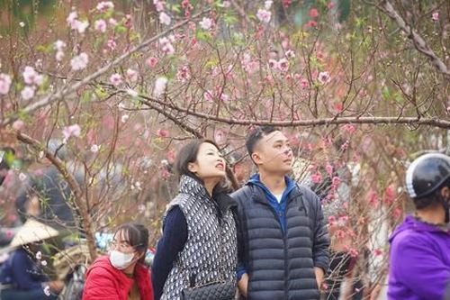 Ngày đầu kỳ nghỉ Tết Nguyên đán, người dân hồ hởi xuống phố 'săn' đào, quất