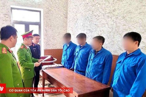Bắt giữ nhóm đối tượng khai thác trái phép tài nguyên