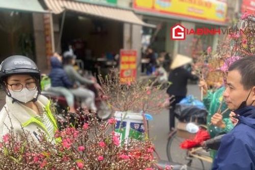 Giá đào Tết tăng, người dân ưu tiên cành nhỏ, chi phí hợp lý