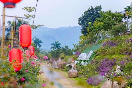 Các khu du lịch sinh thái ở Nghệ An rực rỡ sắc màu, sẵn sàng phục vụ du khách dịp Tết Nguyên đán