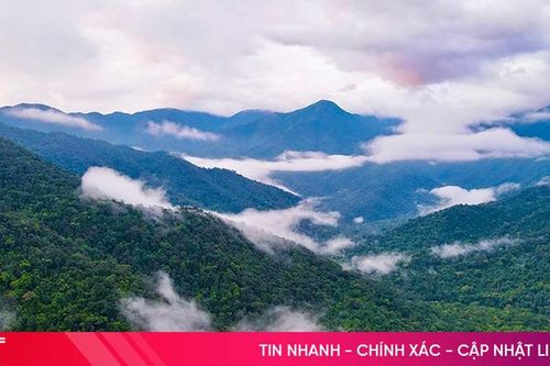 Vườn Quốc gia Vũ Quang: 'Vùng lõi' của khu dự trữ sinh quyển thế giới