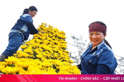 Đô thị phía Nam Hà Tĩnh rực rỡ chào xuân mới