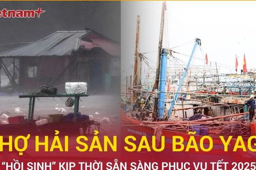 Sau bão Yagi, chợ hải sản Quảng Ninh 'hồi sinh' kịp thời phục vụ Tết 2025