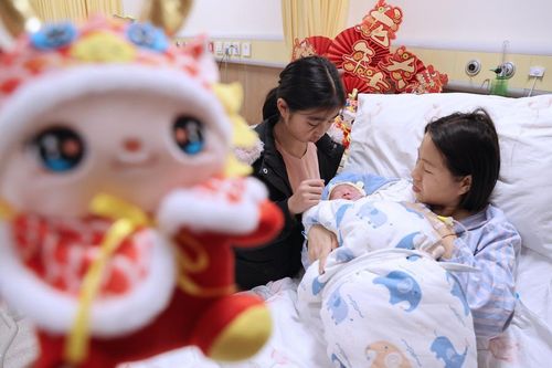 Trung Quốc lo ngại tỷ lệ sinh giảm sau cơn sốt sinh con tuổi Rồng