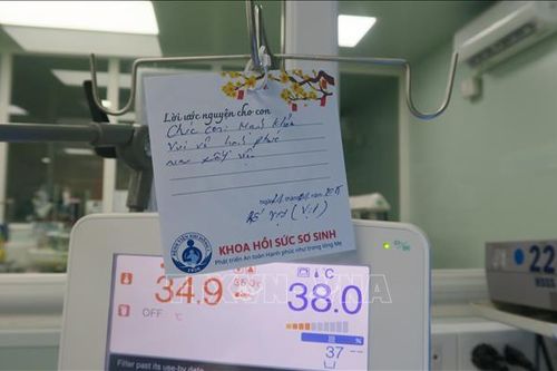 Những 'Lời ước nguyện cho con' trong phòng bệnh