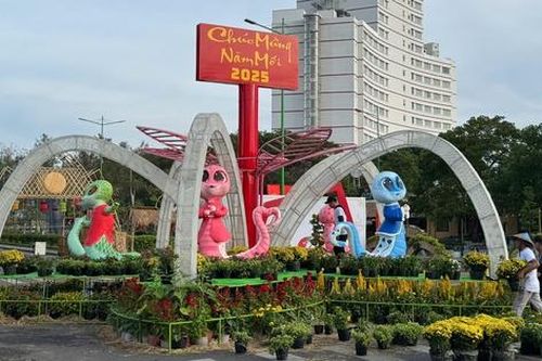 Chiêm ngưỡng đường hoa Xuân với kinh phí hàng tỷ đồng ở Bình Thuận
