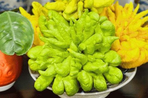 Cách chọn phật thủ 'đúng và trúng' để bày lên bàn thờ ngày Tết