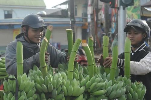 Thủ phủ chuối miền Trung nhộn nhịp ngày giáp Tết