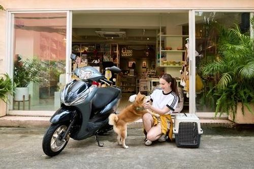 Nhiều mẫu xe tay ga phổ thông ra mắt dịp cận Tết