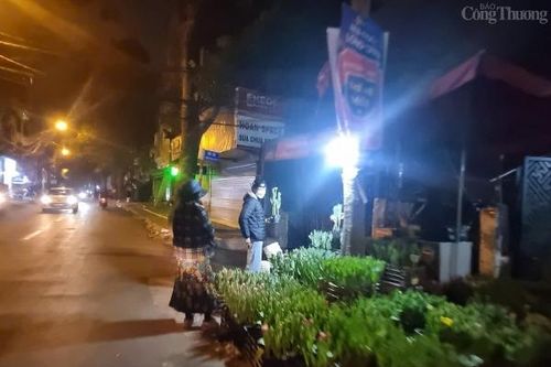 Phố cây cảnh lớn nhất Hà Nội 'thức trắng đêm' mưu sinh