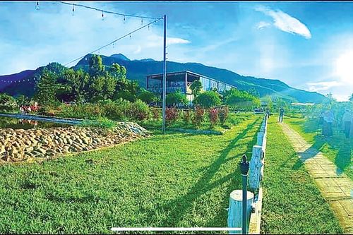 Mùa xuân trên vùng cao xanh biếc