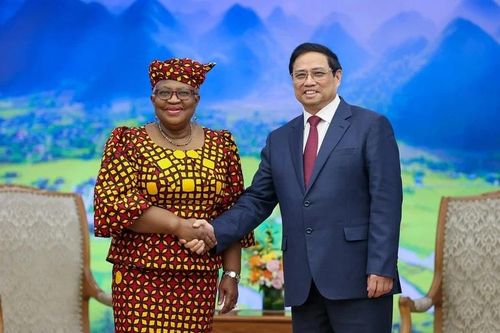 WTO kêu gọi các nước kiềm chế trả đũa khởi lên từ đe dọa áp thuế của ông Trump