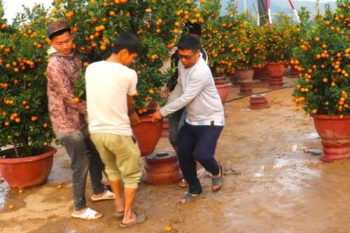 Gia Lai nhộn nhịp không khí mua sắm Tết
