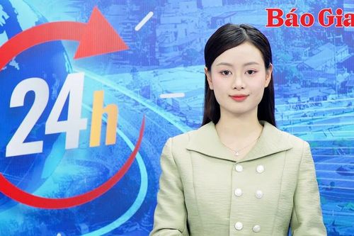 Gia Lai 24h: Gia Lai khởi tố vụ án tổ chức đánh bạc trên 10 tỷ đồng