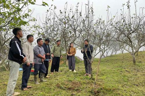 Giang Ma: Nỗ lực giảm nghèo