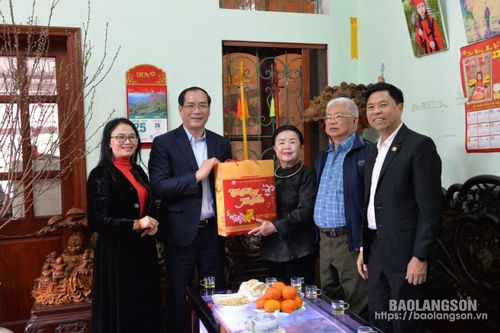 Lãnh đạo UBND tỉnh thăm, chúc tết các nghệ sĩ tiêu biểu nhân dịp Tết Nguyên đán 2025