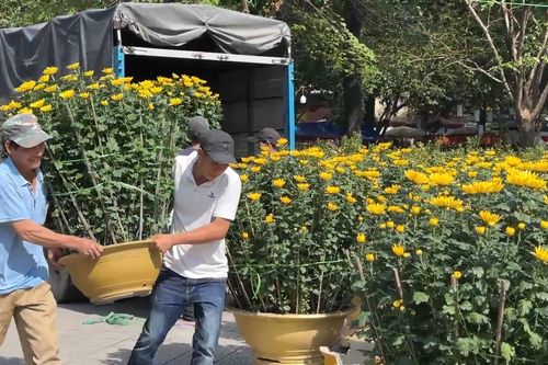 Bản tin Kinh tế - Thị trường ngày 25/1