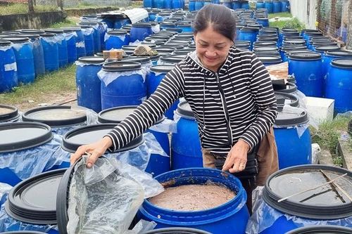 Phú Vang dồi dào nguồn hàng phục vụ Tết