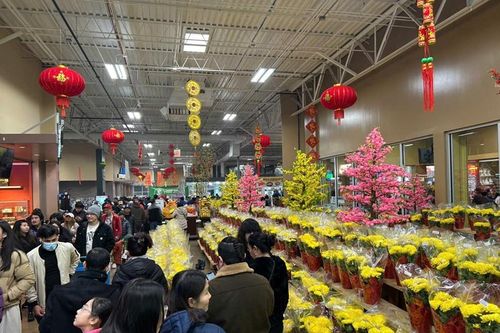 Tết ở Grand Prairie
