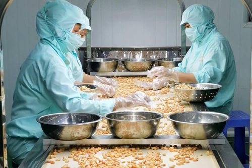 Tập đoàn PAN lần đầu báo lãi nghìn tỷ, kỳ vọng xuất khẩu tăng tốc trong năm 2025