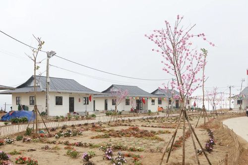 Mùa xuân đầu tiên trên những ngôi làng mới