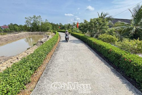 Làng quê thay áo mới