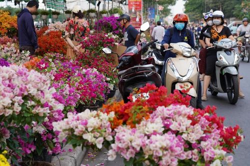 7 chợ hoa Tết nổi tiếng ở TP.HCM 'khách cứ đến là ôm hoa về'