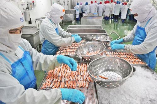 Hiệp định thương mại tự do đầu tiên giữa Thái Lan và các nước châu Âu:Hành lang an toàn giữa nhiều biến động
