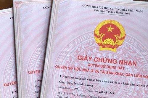 Tin tức đặc biệt trên báo in Hànôịmới ngày 25-1-2025