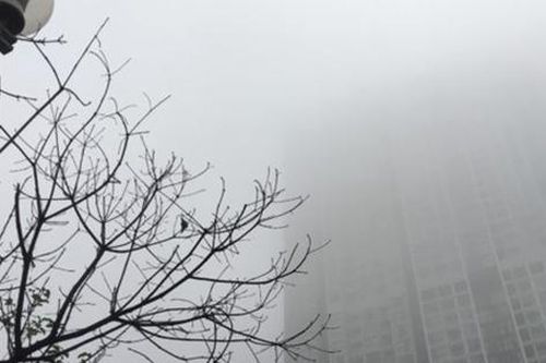 Vì sao sương mù kéo dài cả ngày ở miền Bắc?