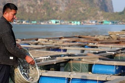 Làng chài Ông Cụ đón Tết với ước vọng mới