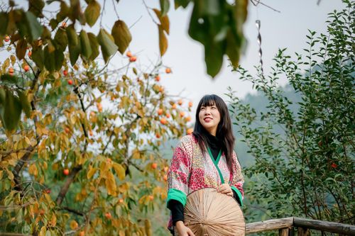 Khoảnh khắc bình yên ngày cuối năm trong khu vườn thơ mộng của tác giả 'Tìm em giữa ngàn sao lấp lánh'