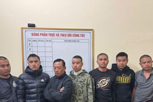 Nhóm người thu gần 2 tỷ đồng từ việc 'bảo kê' bán cây cảnh