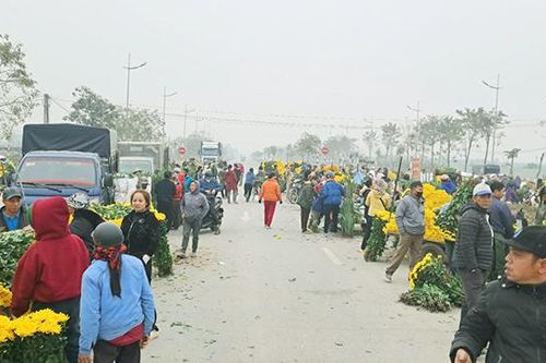 Làng hoa Tây Tựu 'hối hả' những ngày cận Tết