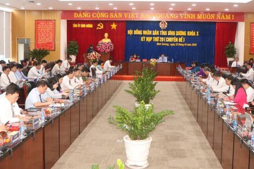 Thông qua chính sách hỗ trợ đặc thù về sắp xếp tổ chức bộ máy