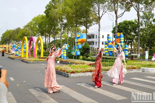 Du xuân trên đường hoa dài 500m ở thủ phủ Đất Sen hồng
