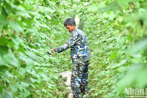 Rà soát hộ nghèo, hộ cận nghèo năm 2025 thực chất, khách quan và công bằng