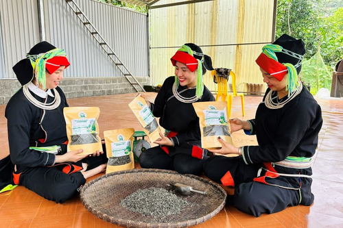 Đậm đà chè chốt Hà Giang