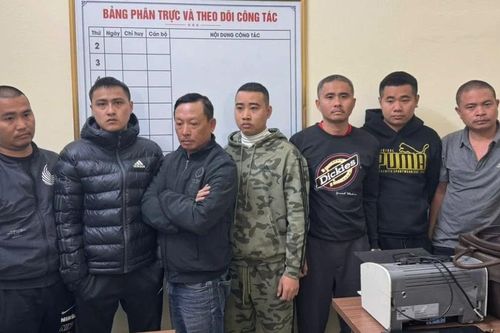 Bắt 7 đối tượng bảo kê bán đào tết, thu lợi bất chính hàng tỷ đồng