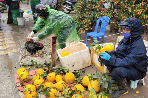 Tấp nập, đủ đầy và rực rỡ chợ quê ngày giáp tết