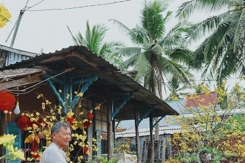 Tết về miền quê