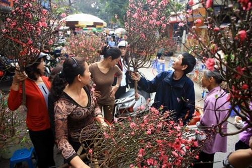 Chợ hoa Hàng Lược - Nơi lưu giữ nét đẹp truyền thống